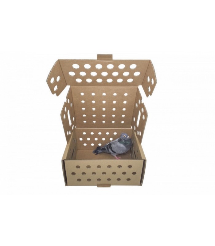 Caja de cartón para pequeños animales, abierta