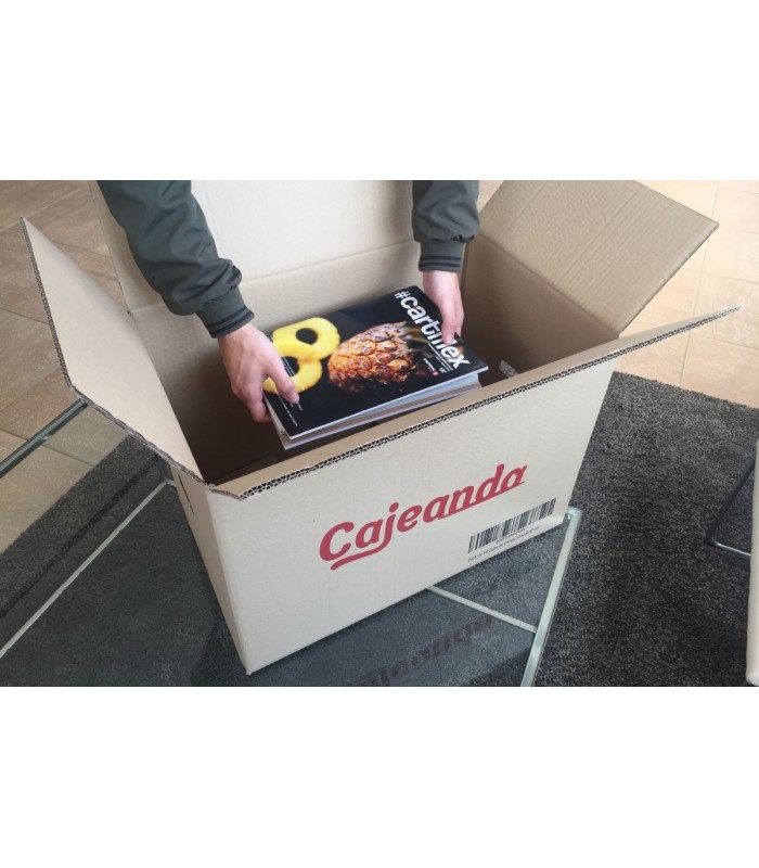 Caja de cartón canal doble logo Cajeando. Ejemplo de productos. 55x35x37