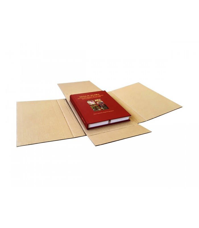 Caja de cartón en cruz para libros, vista desde un lado