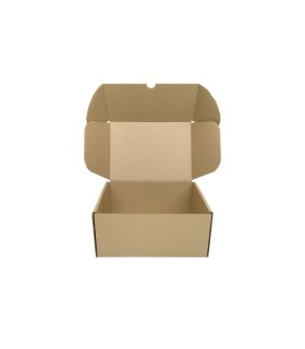 Caja de cartón troquelada de color marrón, Ecommerce 21.6x15.3x10