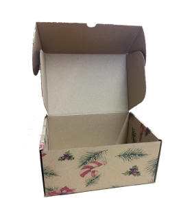 Caja troquelada Ecommerce 21,6x15,3x10 impresa (pino navidad)