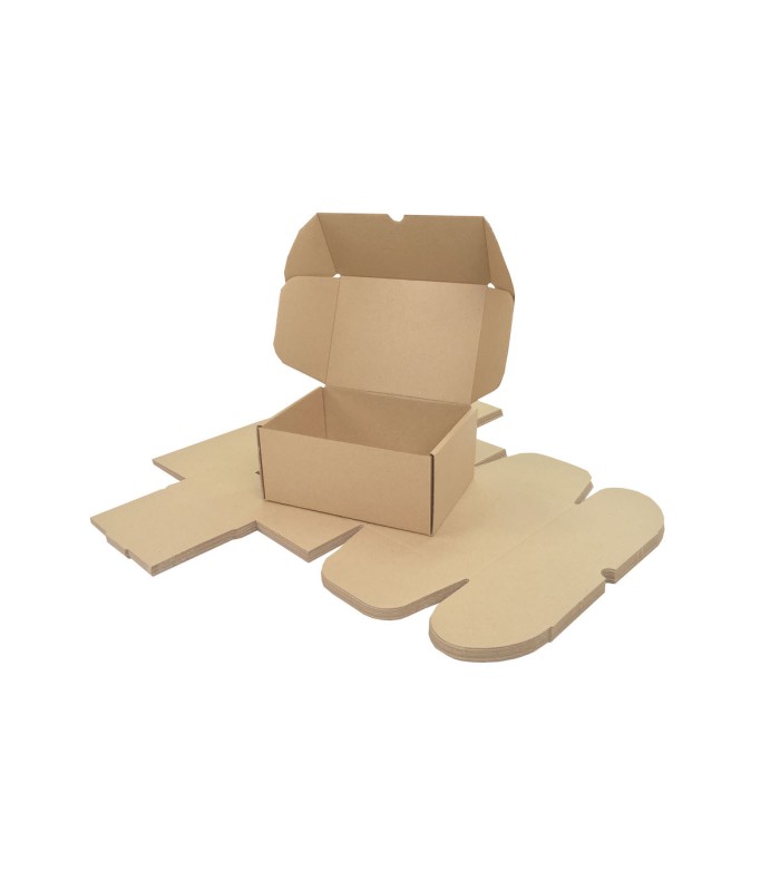 Caja de cartón troquelada de color marrón, Ecommerce 23x15x9
