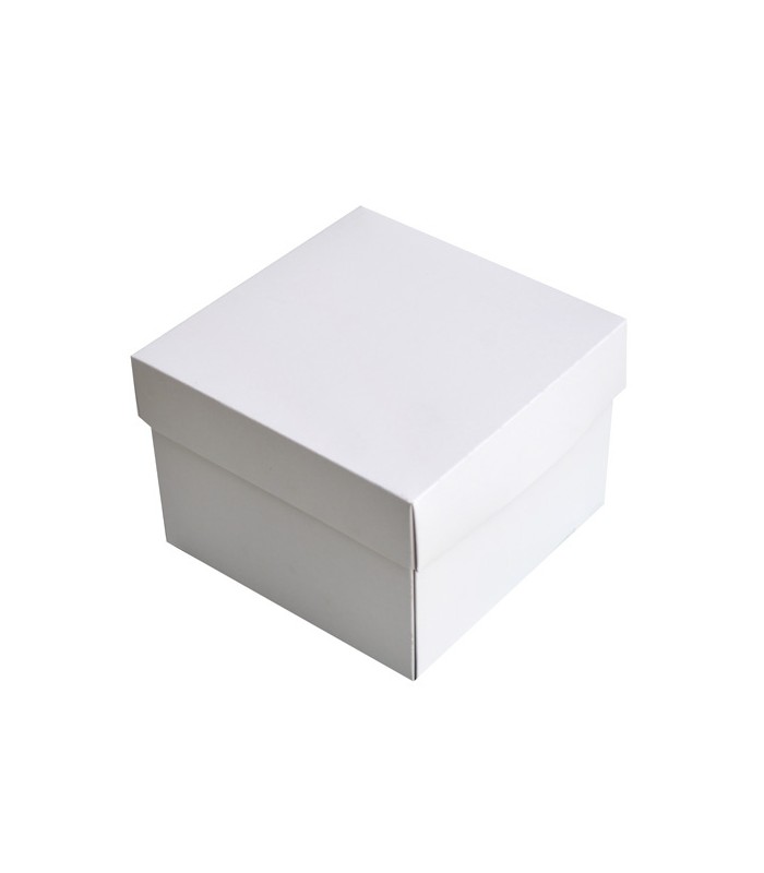 Pack de 20 cajas con tapa para tartas