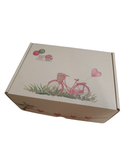 Caja troquelada Ecommerce 21,6x15,3x10 impresa (vintage) arriba