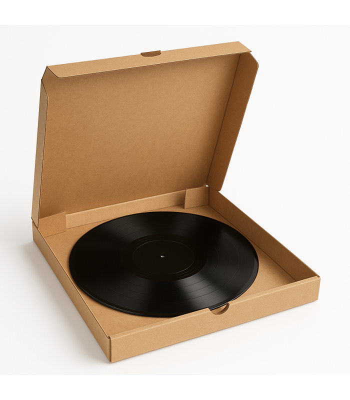 caja enviar vinilo, disco, LP