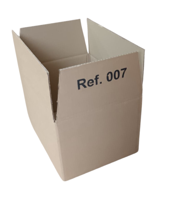 CAJA 007 38,3x28,3x22,3 montada lateral