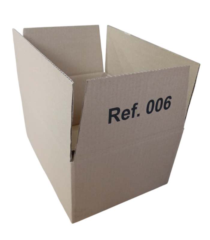 CAJA 006 38,3x28,3x17,5cm montada lateral