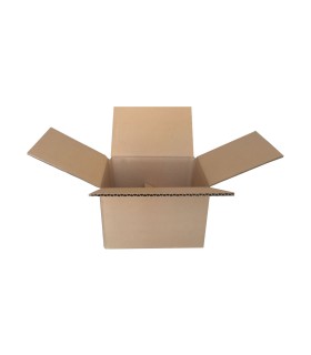 Caja B1 canal simple extra de 18,00 x 10,00 x 11,00 cm anónima.