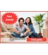 Pack grande para realizar la mudanza (26 cajas)