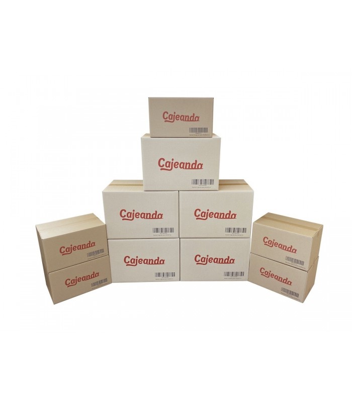 Pack de 10 cajas para mudanza de oficina
